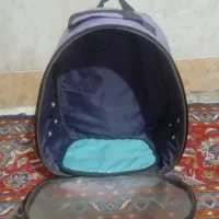 باکس کوله‌ای حیوانات خانگی