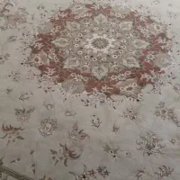 فرش ۱۲متری|فرش|مشکین‌دشت, |دیوار