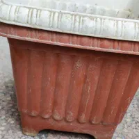 گلدان|گل و گیاه طبیعی|زاهدان, |دیوار