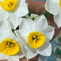 وام ازدواج یا فرزند اوری