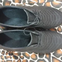 کفش نو|کیف، کفش، کمربند|قم, پردیسان|دیوار