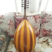 عود استاد عابدینی|سازهای سنتی|همدان, |دیوار