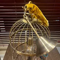 لوستر طرح قفسی تک شعله|لوستر و چراغ آویز|تهران, زعفرانیه|دیوار