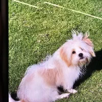 واگذاری کاملا رایگان