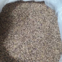 کنجد خام تمیز شسته شده