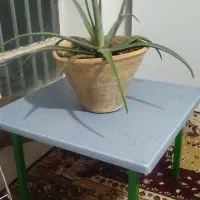 میز نهارخوری کودک