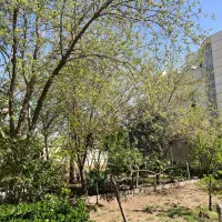 زمین ۸۰۰ متری طاووسیه افشاریه کردان