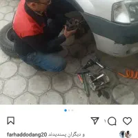 جلوبندی سازی طهران صنعت با مدیریت استاد بالاجانی