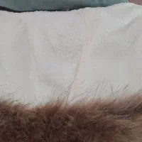 کاپشن زنانه|لباس|تهران, جوادیه تهرانپارس|دیوار