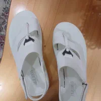 صندل طبی|کیف، کفش، کمربند|اهواز, شهرک رزمندگان|دیوار