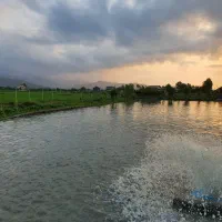 استخر پرورش ماهی گرمابی