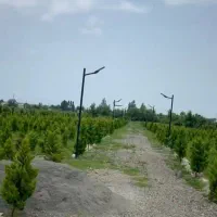 یه زمین الحاق به بافت بی نظیر/۱۵۶متری خوش قیمت|فروش زمین و ملک کلنگی|آمل, |دیوار