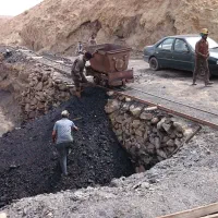 کود کشاورزی  هیومیک اسید لوناردیت