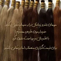 تضمین رضایت