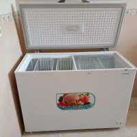 سلام. فریز سالم بدون هیچ خط وخش