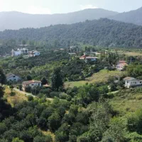 زمین ۲۰۹ متر تنکابن نشتارود مازوبن سفلی