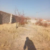 زین آباد ۳۲۰متر|فروش زمین و ملک کلنگی|صوفیان, |دیوار