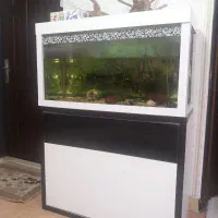 آکواریوم جادار