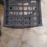 سبد محکم درجه یک|ظروف نگهدارنده، پلاستیکی، یک‌بارمصرف|سنندج, |دیوار