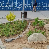 طراحی فضای سبز و خدمات باغبانی|خدمات باغبانی و درختکاری|تهران, میدان ولیعصر|دیوار