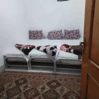 سوئیت آپارتمان امامی|اجارهٔ کوتاه‌مدت آپارتمان و سوئیت|مشهد, بالا خیابان|دیوار