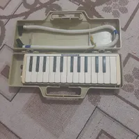 ملودیکا