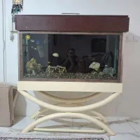 آکواریوم