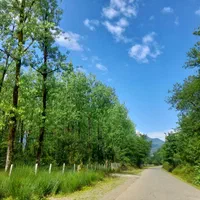 اجاره-سوییت-ویلا-تمام-دربست