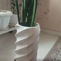 گل با گلدان|گل و گیاه طبیعی|پردیس, فاز ۸|دیوار