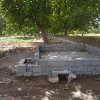 1300متر باغ سند دار آبیاری غرقابی