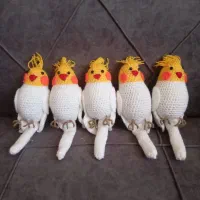 عروس هلندی بافتنی