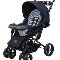 کالسکه دلیجان مدل بنیتا در حد نو