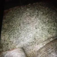 تفاله چغندر پرک درحد خشک