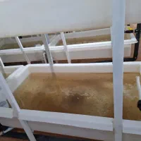 مزایده و فروش مزرعه پرورش بچه ماهی حد واسط|فروش دفتر صنعتی، کشاورزی، تجاری|کوراییم, |دیوار