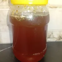 عسل بهاره صد در صد طبیعی|خوردنی و آشامیدنی|شیراز, دباغ خانه|دیوار