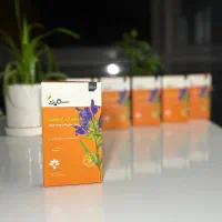 نمایندگی (اصلی)دمنوش مفرح دکتربیز