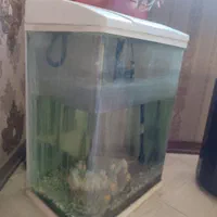 اکواریوم شیشه خم|ماهی|مشهد, کارمندان دوم|دیوار