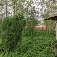 زمین / مسکونی / ۱۰۰۰ متری / پرفسور سمیعی