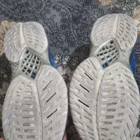 کفش والیبال