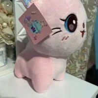 گربه|اسباببازی|شهرکرد, |دیوار