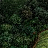 از کار خانگیم حمایت کنید لطفا