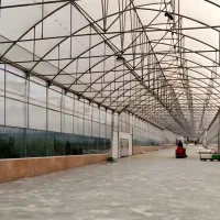 پیمانکار ساخت گلخانه نصاب گلخانه