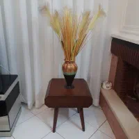 ماهیتابه رژیمی پاسماوری وگل و گلدان|ظروف پخت‌وپز|کرج, شهرک فهمیده|دیوار