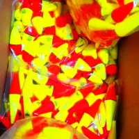 لوازم ماهیگیری|ماهیگیری|اردبیل, |دیوار