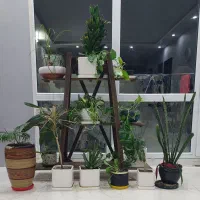 پایه گلدان با گل