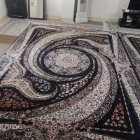 دو عدد فرش  دوازده متری دست بافت گونه|فرش|کوهدشت, |دیوار