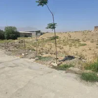 فروش زمین صنعتی باسند بلوار امام پشت ترمینال|فروش زمین و ملک کلنگی|بروجرد, |دیوار