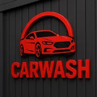 نیروی کار کارواش