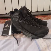 کفش هامتوی اصل