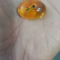 سنگ کهربا